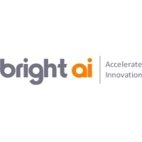 BrightAI Logo