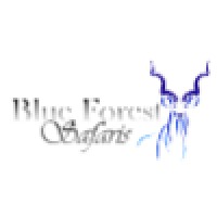 Blue Forest Safaris Logo