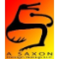 A SAXON DESIGN GROUP LLC Logo