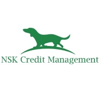 NSK CREDIT MANAGEMENT srl Logo