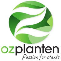 OZ Planten Logo