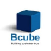 BCube IT Services Pvt. Ltd. Logo