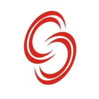 Cognitos System Logo