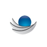 Platinum SEO Services Logo