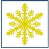 Winter Financiele Diensten Logo