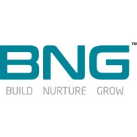 BNG Group Logo