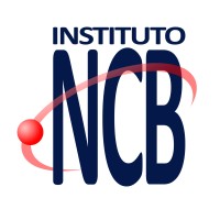 Instituto Newton C. Braga Logo