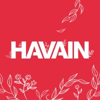 Havain Logo