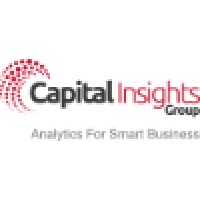 Capital Insights Group Logo