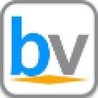 BusinessVibes Logo