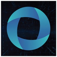 DataLink Software Logo