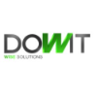 DOWIT - Wise Solutions Logo