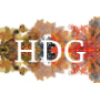 The Hotel Design Group Logo