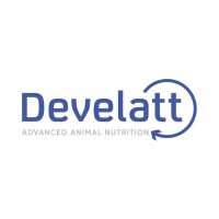 Develatt S.L.U. Logo