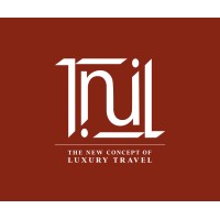 The New International Limo Logo
