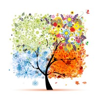 Seasons Counseling, PLLC Logo