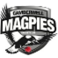 Camberwell Magpies Cricket Club Logo