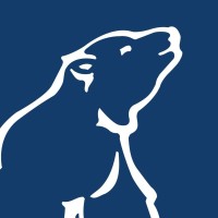 Frio 21 Logo