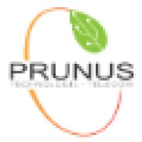 Prunus Logo