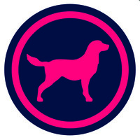 High Wide & Handsome Logo