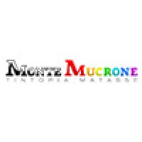 Tintoria Monte Mucrone Logo