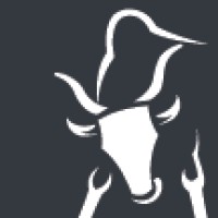 Bull Marketing Inc. Logo