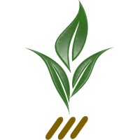 Quorum Bio Logo