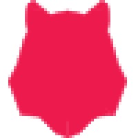Immediate Tiger - IT Logo