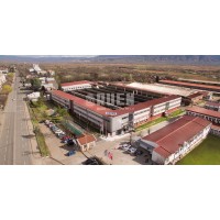 Ruen-Inox Automobile Logo