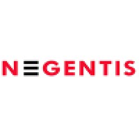 Negentis Logo
