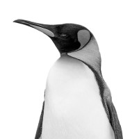 Unreasonable México Logo