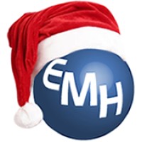 EMH Technology Ltd Logo