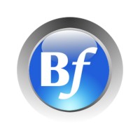 Borderflow Logo