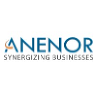 Anenor Information Systems Pvt. Ltd. Logo