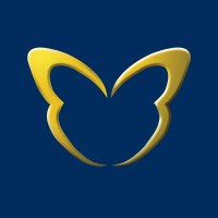 Alloy Wire International Logo