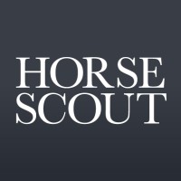 Horse Scout Group Logo
