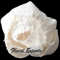 Floral Exports Logo