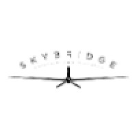 SkyBridge Holdings LLC Logo