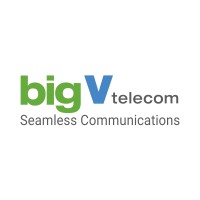 Big V Telecom Pvt. Ltd. Logo