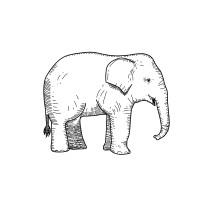 Elefante Project Logo
