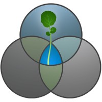 Clement Waters Logo