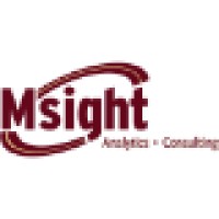 Msight Analytics, LLC Logo