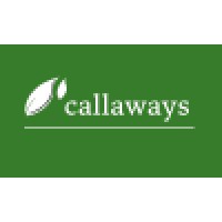 Callaways Executive Selection Logo