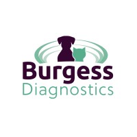 Burgess Diagnostics Ltd Logo