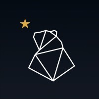 🌟 Pole Star Digital 🌟 Logo