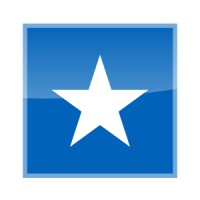 Strategy Star Inc Logo