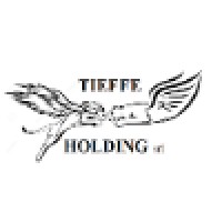 Tieffe Holding Company Srl Logo