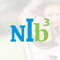 NIb3 Logo