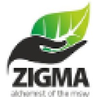 Zigma Global Environ Solutions Pvt. Ltd. Logo