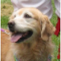 Douglas Oaks Animal Hospital Logo